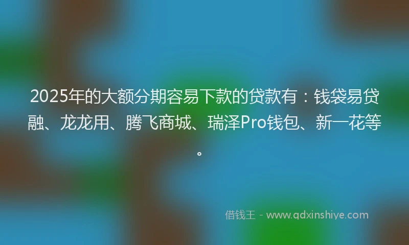 2025年的大额分期容易下款的贷款有：钱袋易贷融、龙龙用、腾飞商城、瑞泽Pro钱包、新一花等。