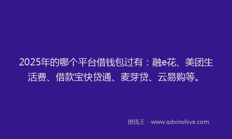 2025年的哪个平台借钱包过有：融e花、美团生活费、借款宝快贷通、麦芽贷、云易购等。