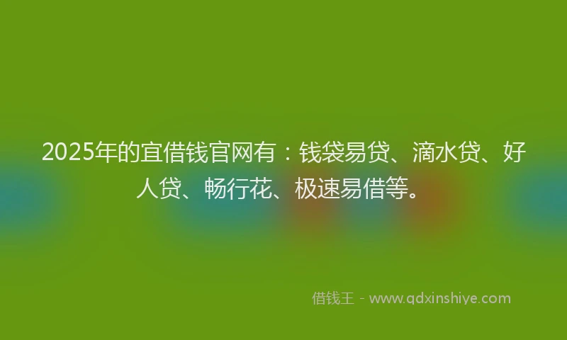 2025年的宜借钱官网有：钱袋易贷、滴水贷、好人贷、畅行花、极速易借等。