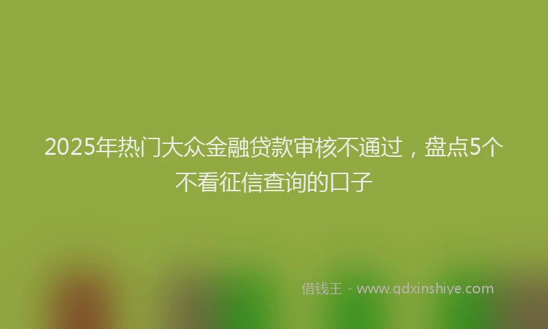 2025年热门大众金融贷款审核不通过，盘点5个不看征信查询的口子
