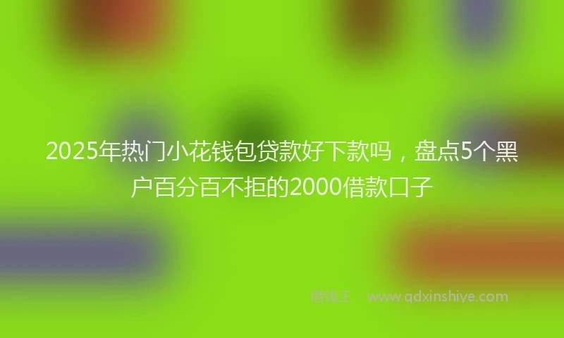 2025年热门小花钱包贷款好下款吗，盘点5个黑户百分百不拒的2000借款口子