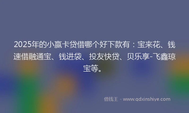 2025年的小赢卡贷借哪个好下款有：宝来花、钱速借融通宝、钱进袋、投友快贷、贝乐享-飞鑫琼宝等。