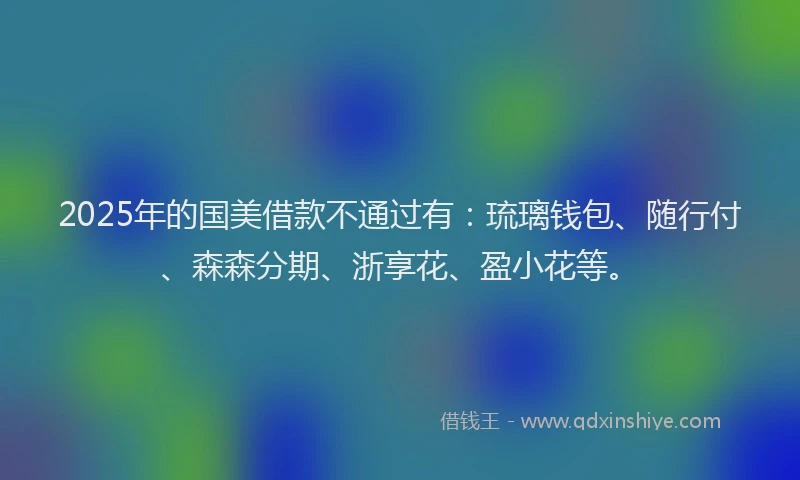 2025年的国美借款不通过有：琉璃钱包、随行付、森森分期、浙享花、盈小花等。