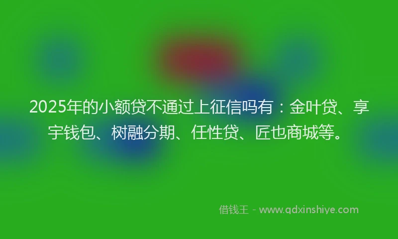 2025年的小额贷不通过上征信吗有：金叶贷、享宇钱包、树融分期、任性贷、匠也商城等。