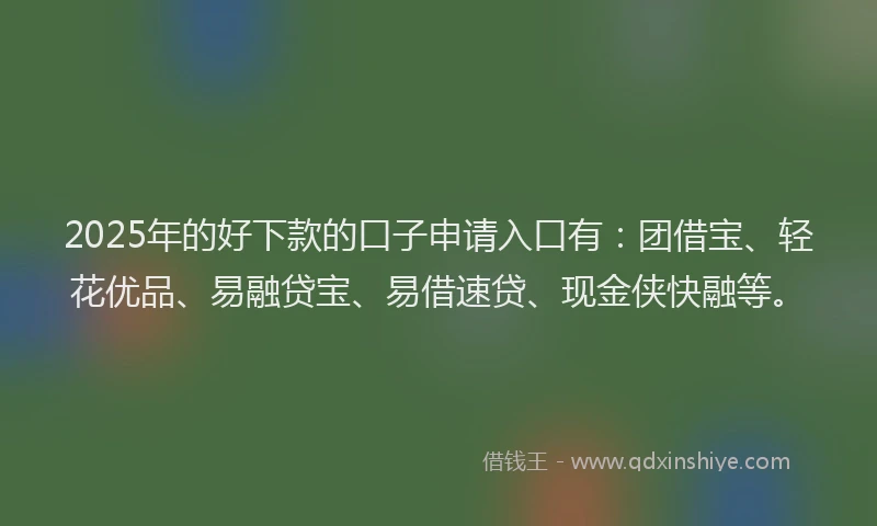 2025年的好下款的口子申请入口有：团借宝、轻花优品、易融贷宝、易借速贷、现金侠快融等。