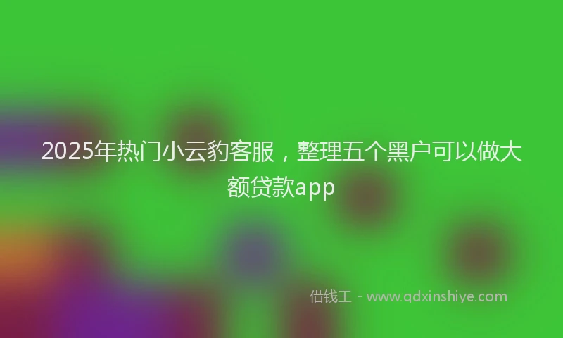 2025年热门小云豹客服，整理五个黑户可以做大额贷款app
