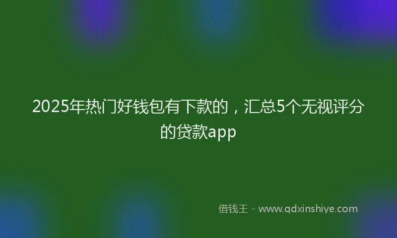 2025年热门好钱包有下款的,汇总5个无视评分的贷款app