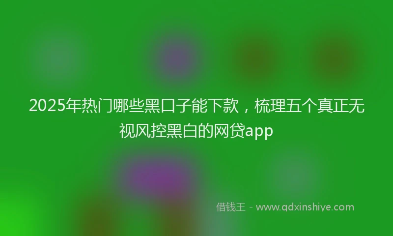 2025年热门哪些黑口子能下款，梳理五个真正无视风控黑白的网贷app