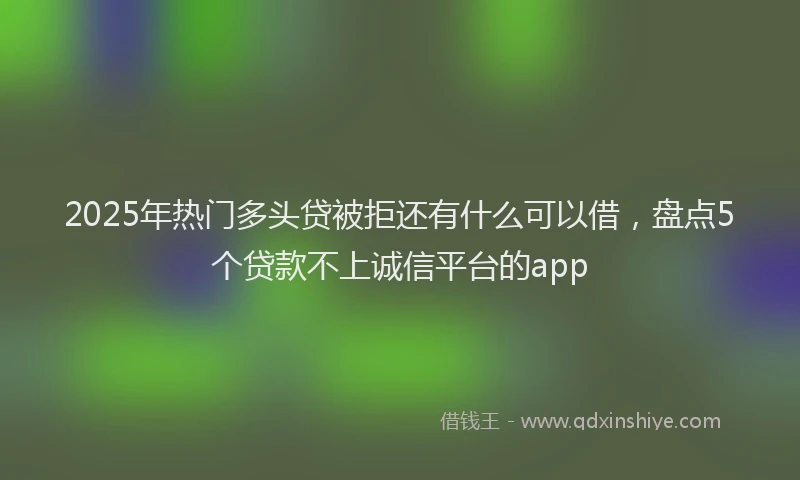 2025年热门多头贷被拒还有什么可以借，盘点5个贷款不上诚信平台的app