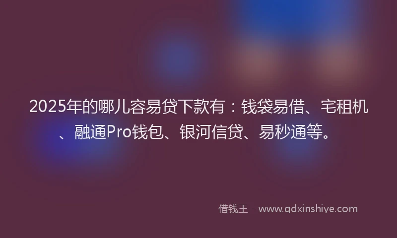 2025年的哪儿容易贷下款有：钱袋易借、宅租机、融通Pro钱包、银河信贷、易秒通等。