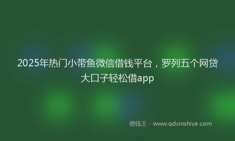 2025年热门小带鱼微信借钱平台，罗列五个网贷大口子轻松借app
