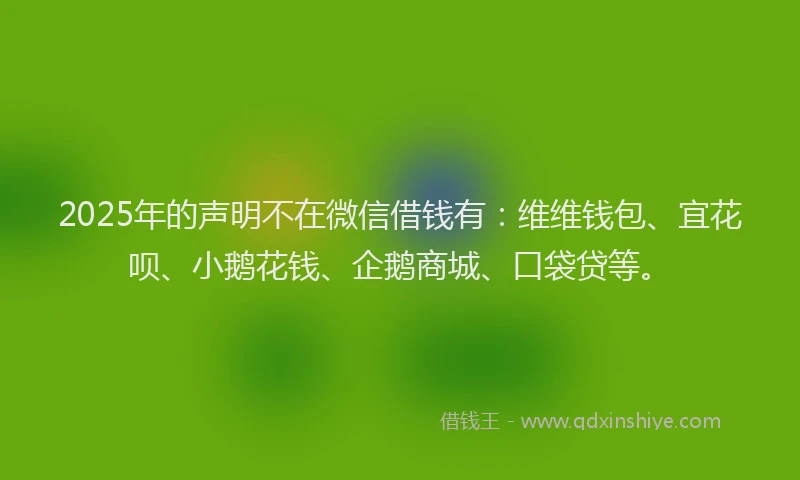 2025年的声明不在微信借钱有：维维钱包、宜花呗、小鹅花钱、企鹅商城、口袋贷等。