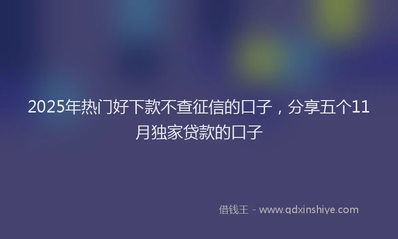 2025年热门好下款不查征信的口子，分享五个11月独家贷款的口子
