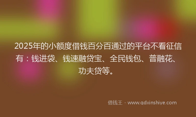 2025年的小额度借钱百分百通过的平台不看征信有：钱进袋、钱速融贷宝、全民钱包、普融花、功夫贷等。