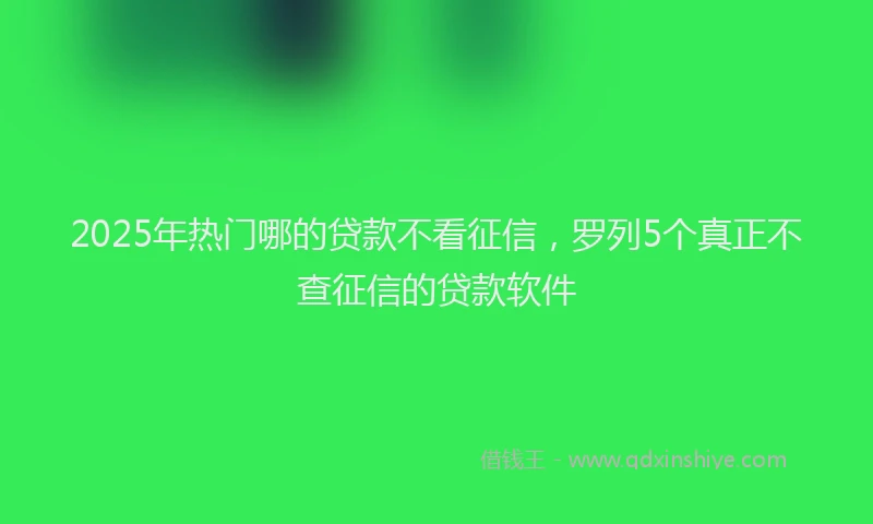 2025年热门哪的贷款不看征信，罗列5个真正不查征信的贷款软件