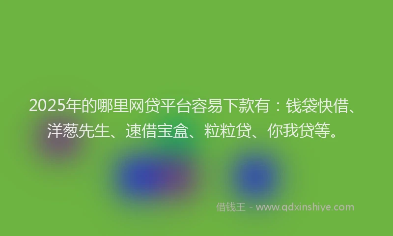 2025年的哪里网贷平台容易下款有：钱袋快借、洋葱先生、速借宝盒、粒粒贷、你我贷等。