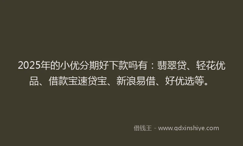 2025年的小优分期好下款吗有：翡翠贷、轻花优品、借款宝速贷宝、新浪易借、好优选等。