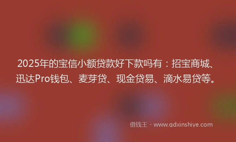2025年的宝信小额贷款好下款吗有：招宝商城、迅达Pro钱包、麦芽贷、现金贷易、滴水易贷等。