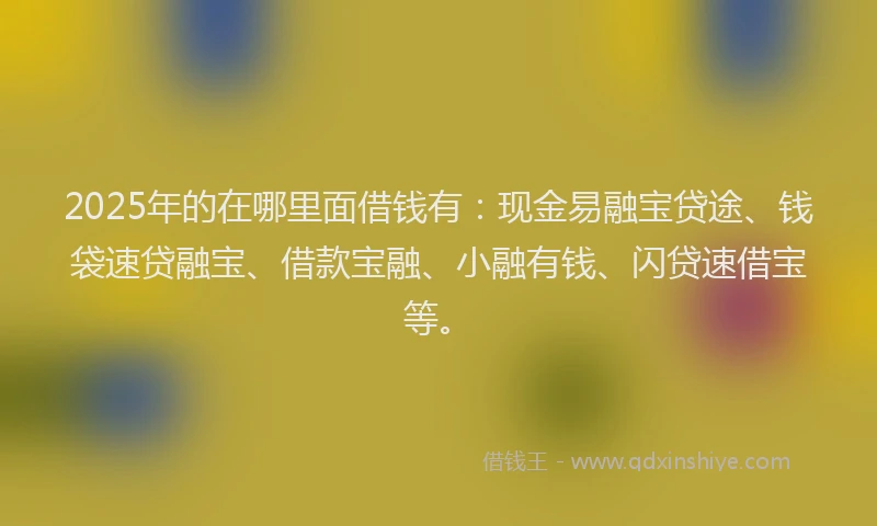 2025年的在哪里面借钱有：现金易融宝贷途、钱袋速贷融宝、借款宝融、小融有钱、闪贷速借宝等。