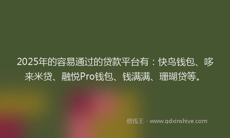 2025年的容易通过的贷款平台有：快鸟钱包、哆来米贷、融悦Pro钱包、钱满满、珊瑚贷等。