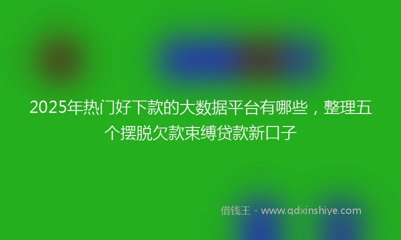 2025年热门好下款的大数据平台有哪些，整理五个摆脱欠款束缚贷款新口子