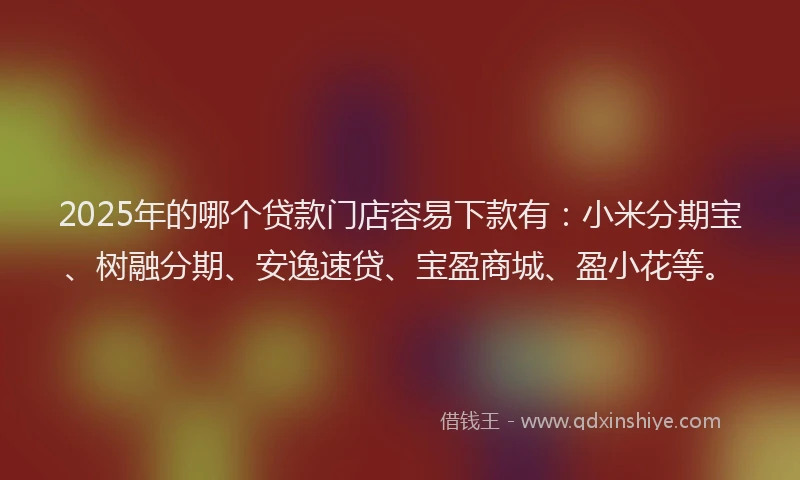 2025年的哪个贷款门店容易下款有：小米分期宝、树融分期、安逸速贷、宝盈商城、盈小花等。