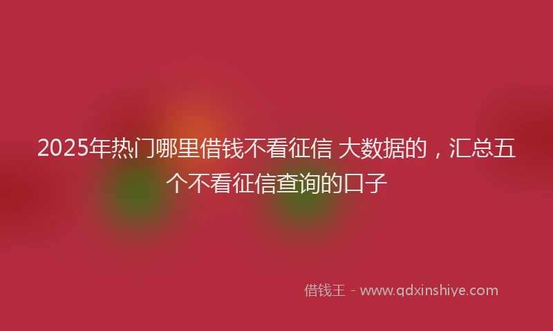 2025年热门哪里借钱不看征信 大数据的，汇总五个不看征信查询的口子