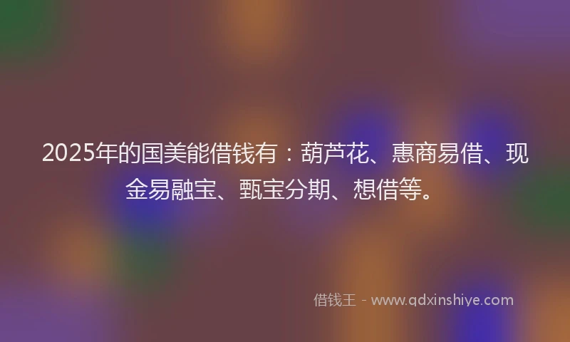 2025年的国美能借钱有：葫芦花、惠商易借、现金易融宝、甄宝分期、想借等。