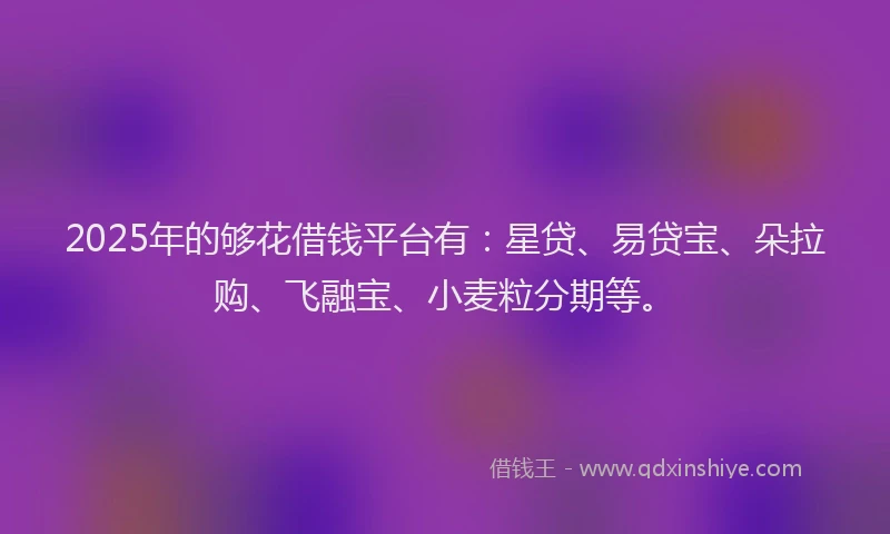 2025年的够花借钱平台有：星贷、易贷宝、朵拉购、飞融宝、小麦粒分期等。