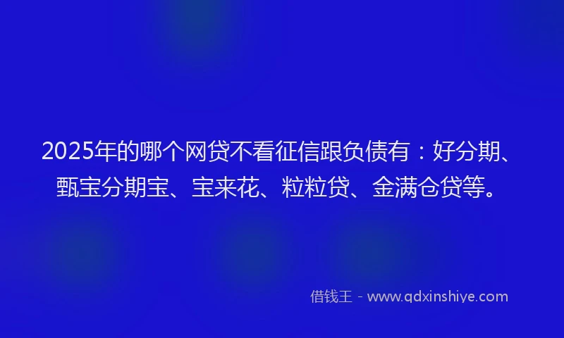 2025年的哪个网贷不看征信跟负债有：好分期、甄宝分期宝、宝来花、粒粒贷、金满仓贷等。