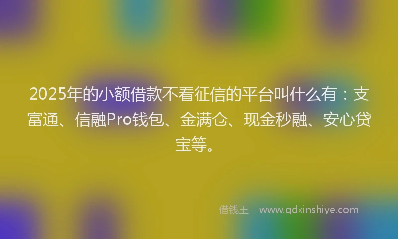 2025年的小额借款不看征信的平台叫什么有：支富通、信融Pro钱包、金满仓、现金秒融、安心贷宝等。