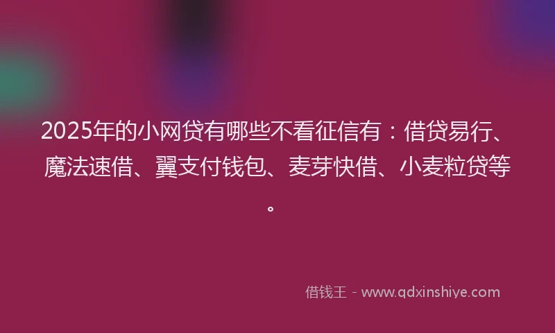 2025年的小网贷有哪些不看征信有:借贷易行、魔法速借、翼支付钱包、麦芽快借、小麦粒贷等。
