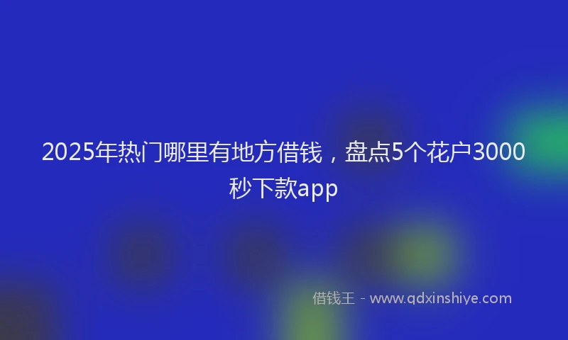 2025年热门哪里有地方借钱，盘点5个花户3000秒下款app