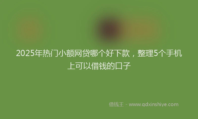 2025年热门小额网贷哪个好下款，整理5个手机上可以借钱的口子