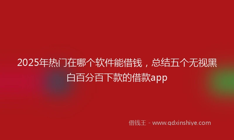2025年热门在哪个软件能借钱，总结五个无视黑白百分百下款的借款app
