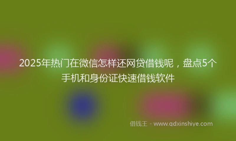 2025年热门在微信怎样还网贷借钱呢，盘点5个手机和身份证快速借钱软件