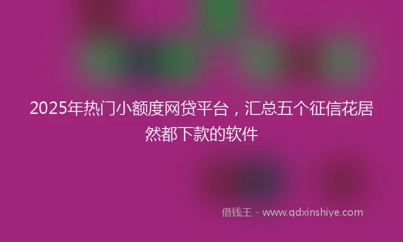 2025年热门小额度网贷平台，汇总五个征信花居然都下款的软件