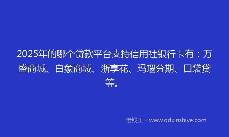 2025年的哪个贷款平台支持信用社银行卡有：万盛商城、白象商城、浙享花、玛瑙分期、口袋贷等。