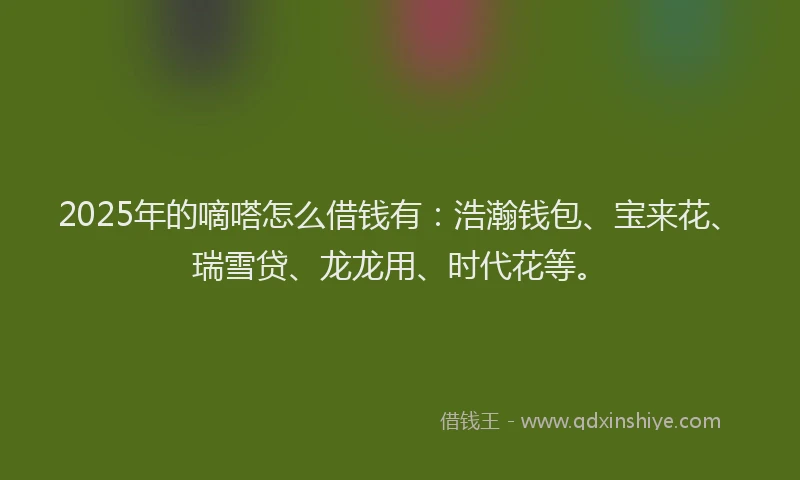 2025年的嘀嗒怎么借钱有：浩瀚钱包、宝来花、瑞雪贷、龙龙用、时代花等。