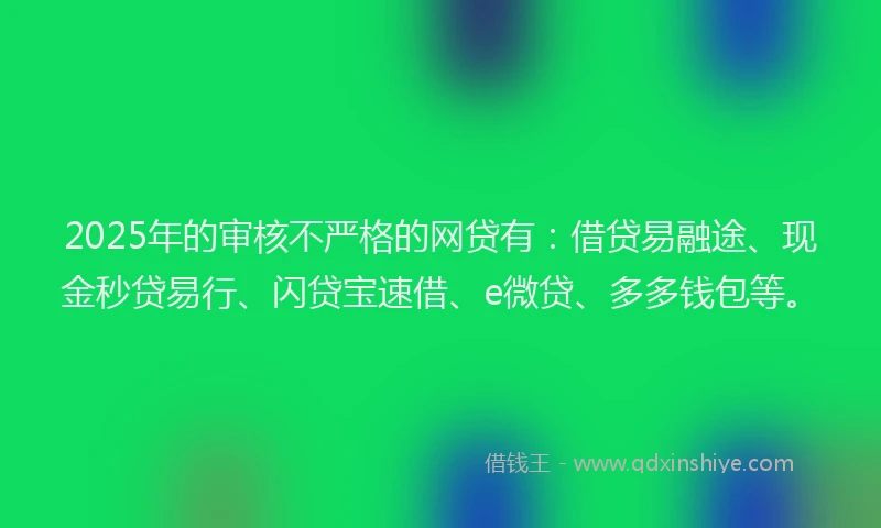 2025年的审核不严格的网贷有：借贷易融途、现金秒贷易行、闪贷宝速借、e微贷、多多钱包等。