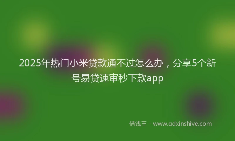 2025年热门小米贷款通不过怎么办,分享5个新号易贷速审秒下款app