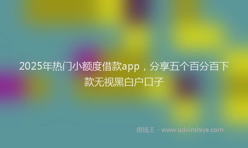 2025年热门小额度借款app，分享五个百分百下款无视黑白户口子