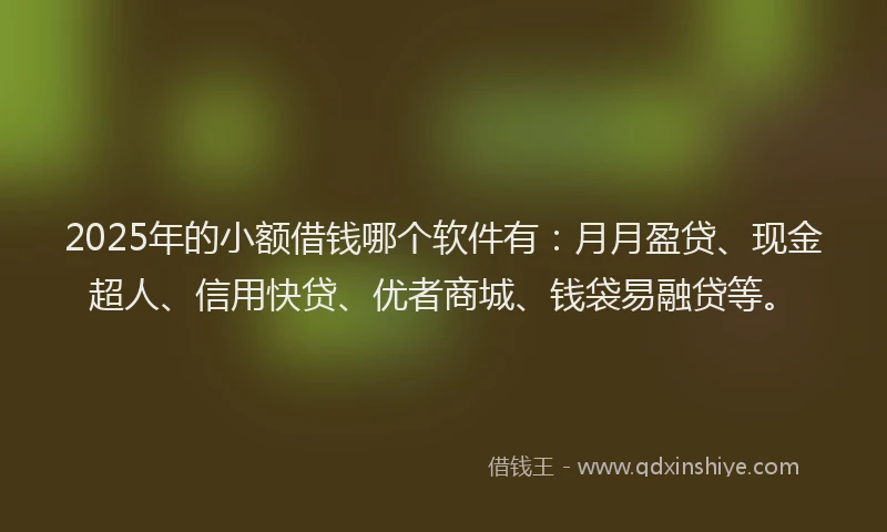 2025年的小额借钱哪个软件有：月月盈贷、现金超人、信用快贷、优者商城、钱袋易融贷等。