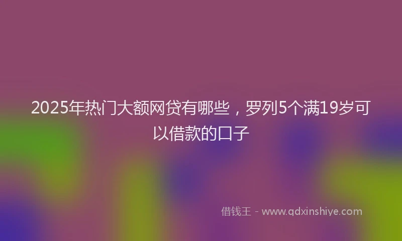 2025年热门大额网贷有哪些，罗列5个满19岁可以借款的口子