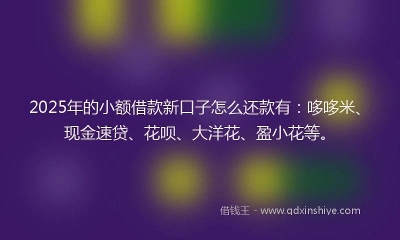 2025年的小额借款新口子怎么还款有：哆哆米、现金速贷、花呗、大洋花、盈小花等。