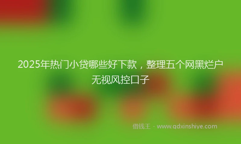 2025年热门小贷哪些好下款，整理五个网黑烂户无视风控口子