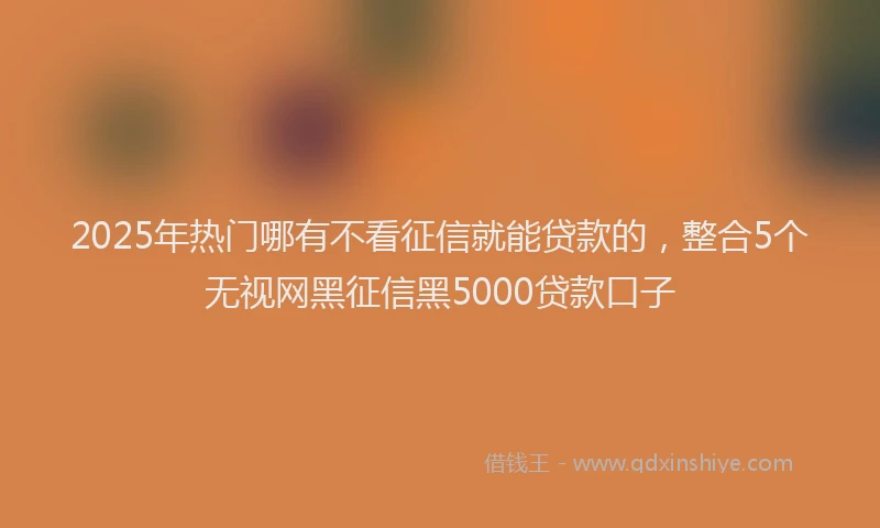 2025年热门哪有不看征信就能贷款的，整合5个无视网黑征信黑5000贷款口子