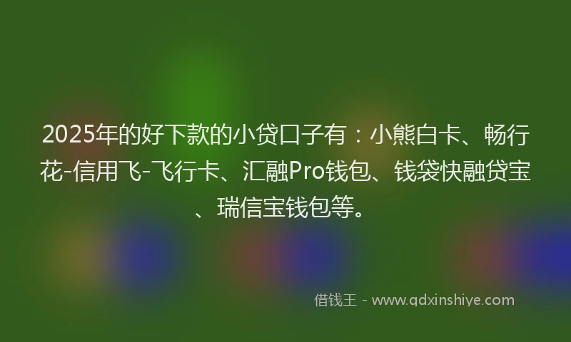 2025年的好下款的小贷口子有：小熊白卡、畅行花-信用飞-飞行卡、汇融Pro钱包、钱袋快融贷宝、瑞信宝钱包等。