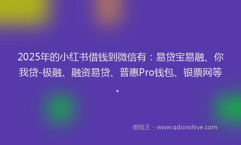 2025年的小红书借钱到微信有：易贷宝易融、你我贷-极融、融资易贷、普惠Pro钱包、银票网等。