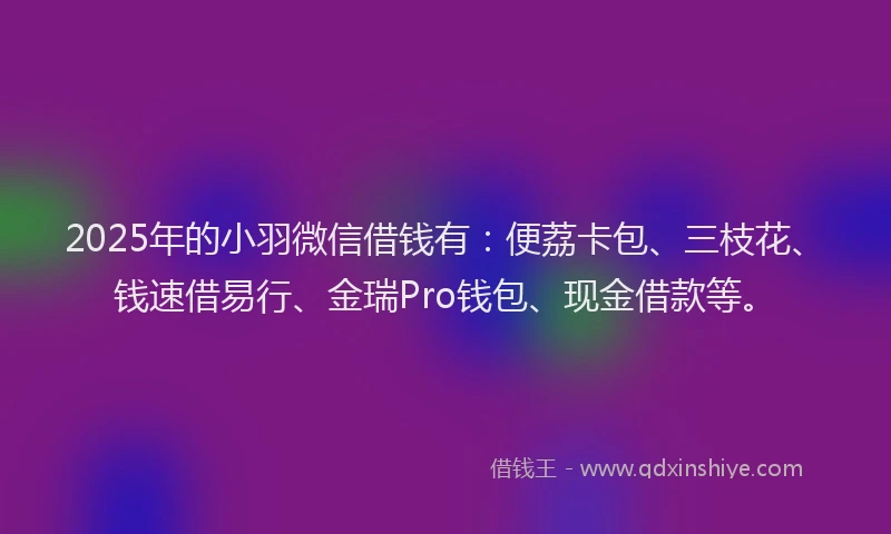2025年的小羽微信借钱有：便荔卡包、三枝花、钱速借易行、金瑞Pro钱包、现金借款等。